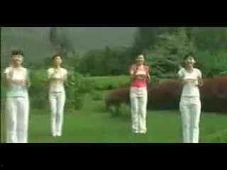 我想要飞舞蹈视频,揭秘飞舞者的舞蹈艺术之旅