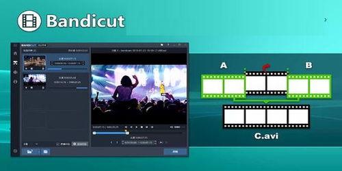 无损剪切视频,捕捉精彩瞬间的艺术之旅