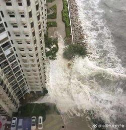 深圳台风视频实拍,惊心动魄的自然力量瞬间